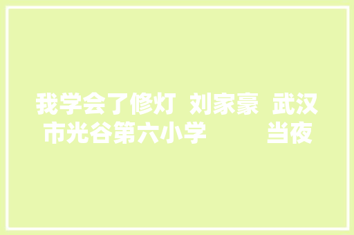 我学会了修灯  刘家豪  武汉市光谷第六小学  　　当夜幕降临