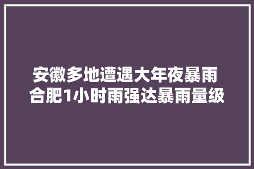 安徽多地遭遇大年夜暴雨 合肥1小时雨强达暴雨量级