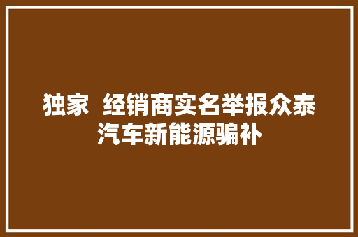 独家  经销商实名举报众泰汽车新能源骗补