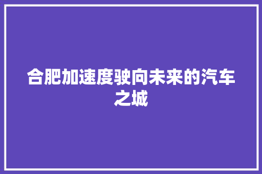 合肥加速度驶向未来的汽车之城