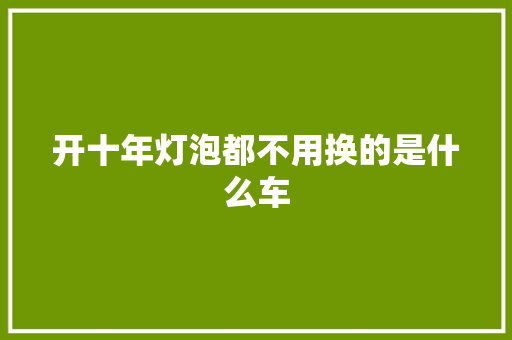 开十年灯泡都不用换的是什么车