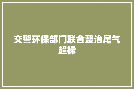交警环保部门联合整治尾气超标