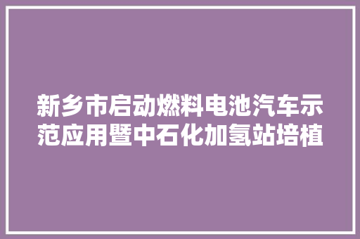 新乡市启动燃料电池汽车示范应用暨中石化加氢站培植