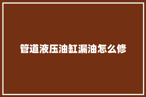 管道液压油缸漏油怎么修