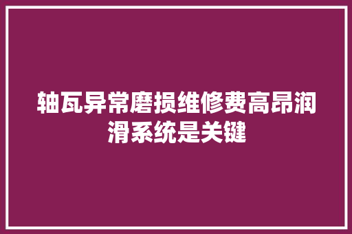 轴瓦异常磨损维修费高昂润滑系统是关键