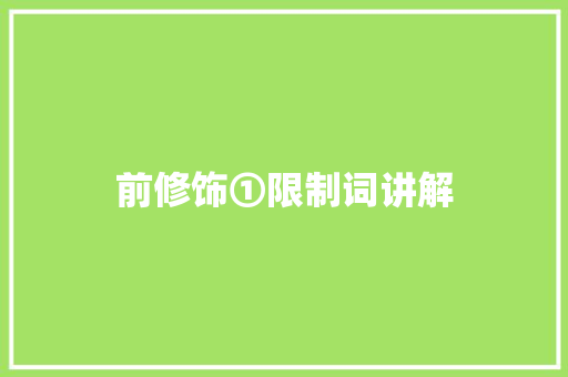 前修饰①限制词讲解