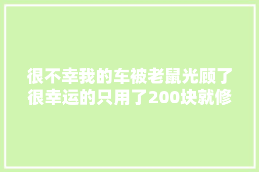 很不幸我的车被老鼠光顾了很幸运的只用了200块就修好了