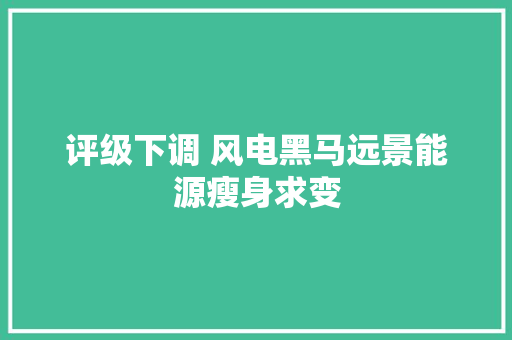 评级下调 风电黑马远景能源瘦身求变