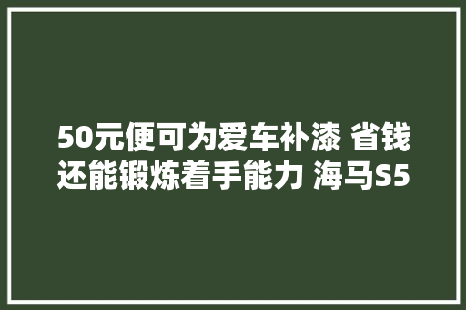 50元便可为爱车补漆 省钱还能锻炼着手能力 海马S5车主口碑