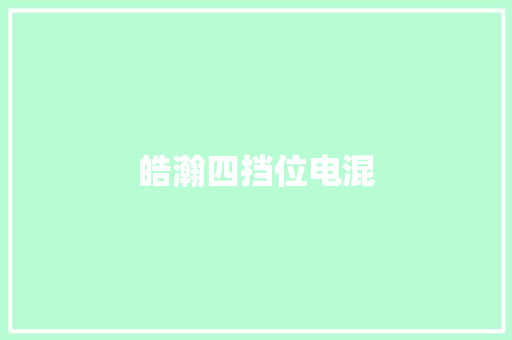 皓瀚四挡位电混
