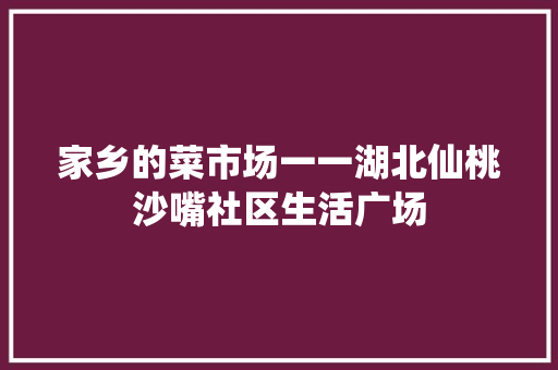 家乡的菜市场一一湖北仙桃沙嘴社区生活广场