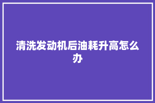 清洗发动机后油耗升高怎么办