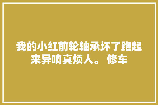 我的小红前轮轴承坏了跑起来异响真烦人。 修车