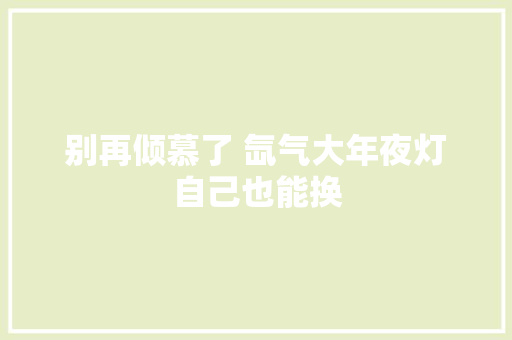 别再倾慕了 氙气大年夜灯自己也能换