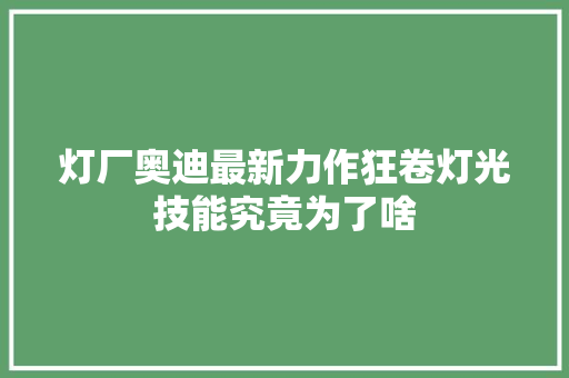 灯厂奥迪最新力作狂卷灯光技能究竟为了啥