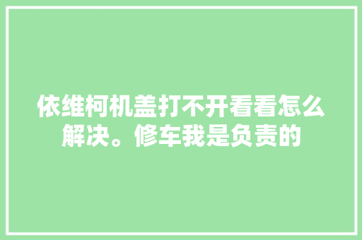 依维柯机盖打不开看看怎么解决。修车我是负责的