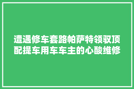 遭遇修车套路帕萨特领驭顶配提车用车车主的心酸维修路