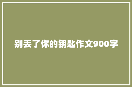 别丢了你的钥匙作文900字
