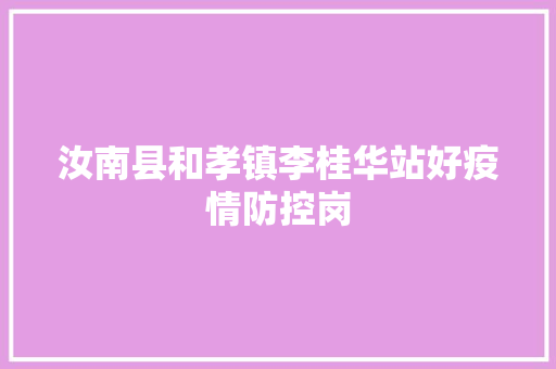汝南县和孝镇李桂华站好疫情防控岗