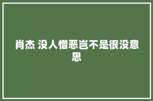 肖杰 没人憎恶岂不是很没意思