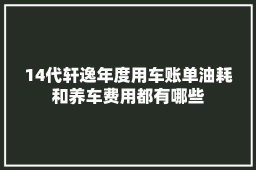 14代轩逸年度用车账单油耗和养车费用都有哪些