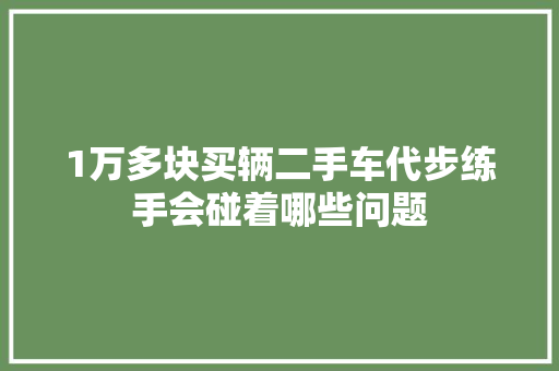 1万多块买辆二手车代步练手会碰着哪些问题