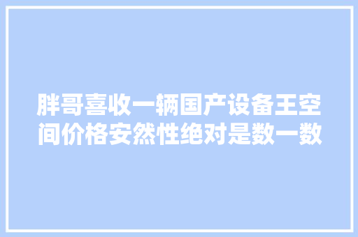 胖哥喜收一辆国产设备王空间价格安然性绝对是数一数二