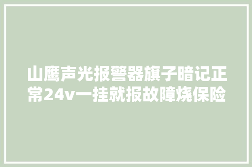 山鹰声光报警器旗子暗记正常24v一挂就报故障烧保险