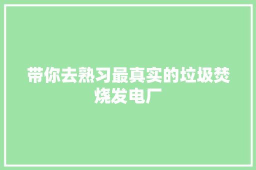 带你去熟习最真实的垃圾焚烧发电厂