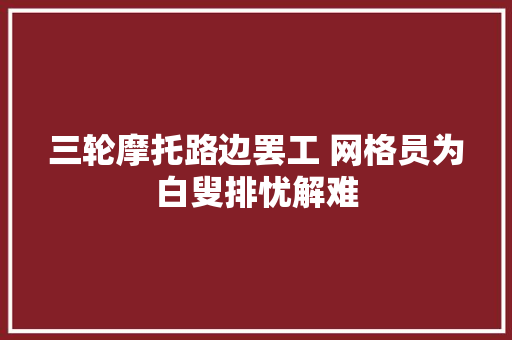 三轮摩托路边罢工 网格员为白叟排忧解难
