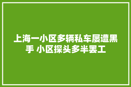 上海一小区多辆私车屡遭黑手 小区探头多半罢工