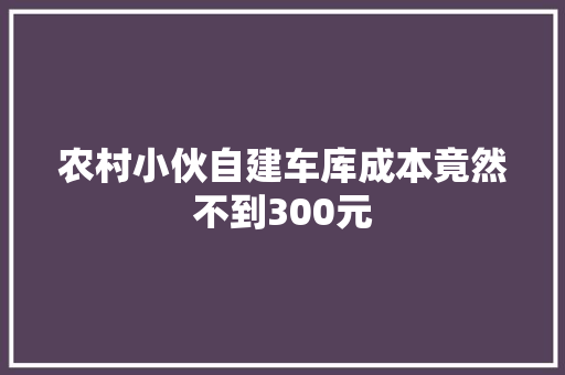 农村小伙自建车库成本竟然不到300元