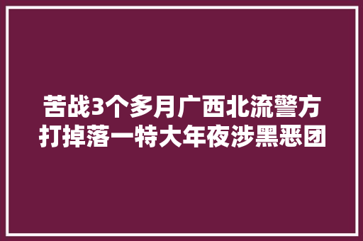苦战3个多月广西北流警方打掉落一特大年夜涉黑恶团伙