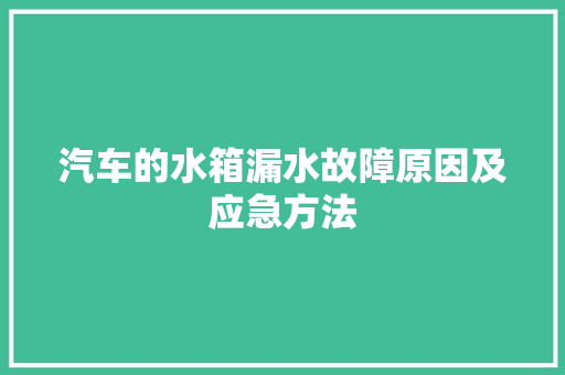 汽车的水箱漏水故障原因及应急方法 汽车知识