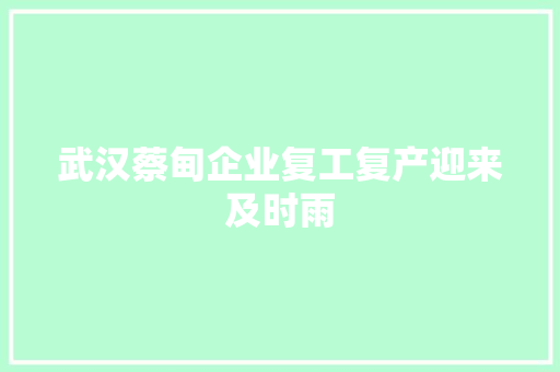 武汉蔡甸企业复工复产迎来及时雨