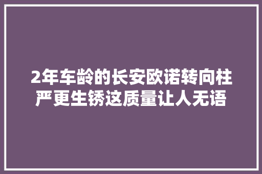 2年车龄的长安欧诺转向柱严更生锈这质量让人无语