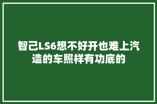 智己LS6想不好开也难上汽造的车照样有功底的