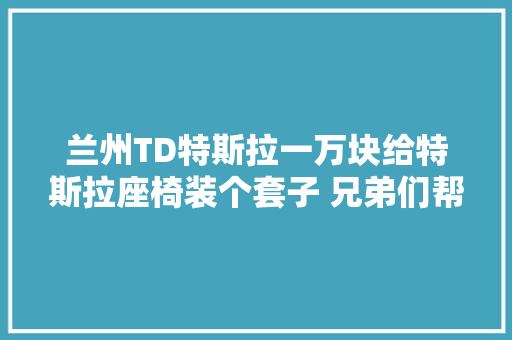 兰州TD特斯拉一万块给特斯拉座椅装个套子 兄弟们帮我评评理