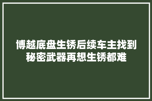 博越底盘生锈后续车主找到秘密武器再想生锈都难