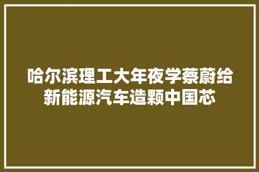 哈尔滨理工大年夜学蔡蔚给新能源汽车造颗中国芯