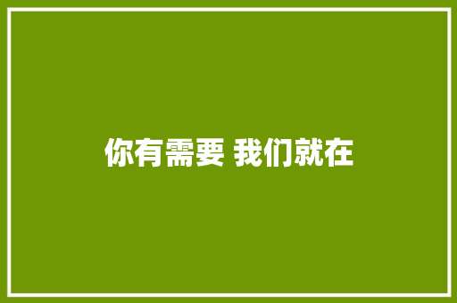 你有需要 我们就在