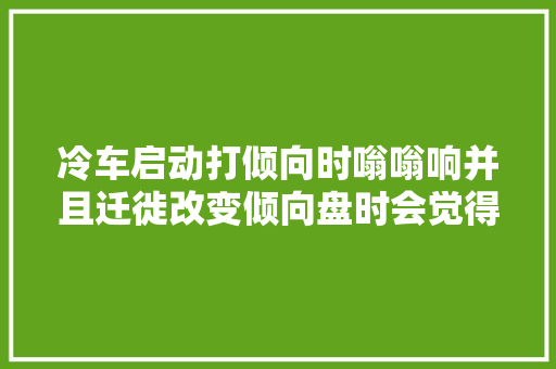 冷车启动打倾向时嗡嗡响并且迁徙改变倾向盘时会觉得到很重是啥情况
