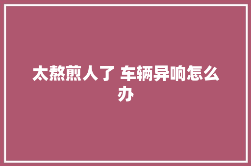 太熬煎人了 车辆异响怎么办