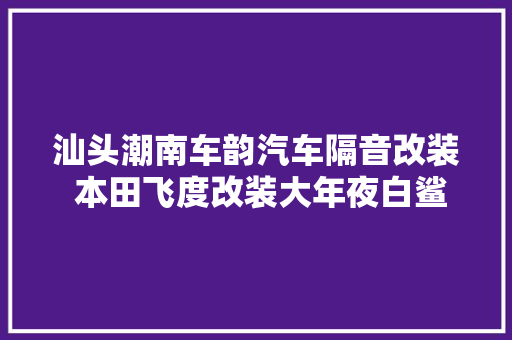 汕头潮南车韵汽车隔音改装 本田飞度改装大年夜白鲨 无可抉剔
