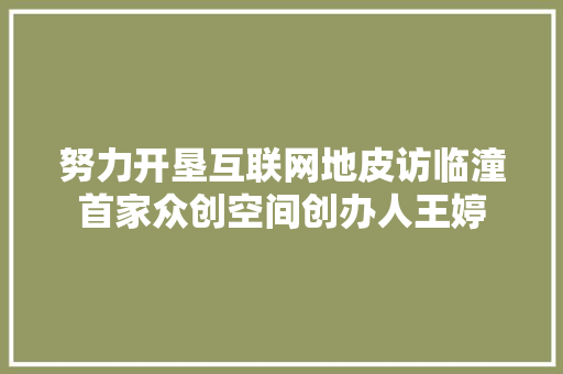 努力开垦互联网地皮访临潼首家众创空间创办人王婷