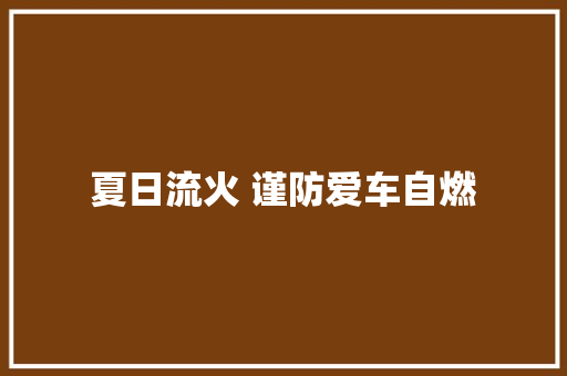 夏日流火 谨防爱车自燃