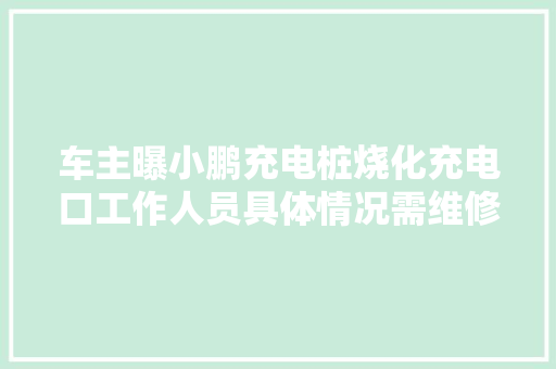 车主曝小鹏充电桩烧化充电口工作人员具体情况需维修人员去查看