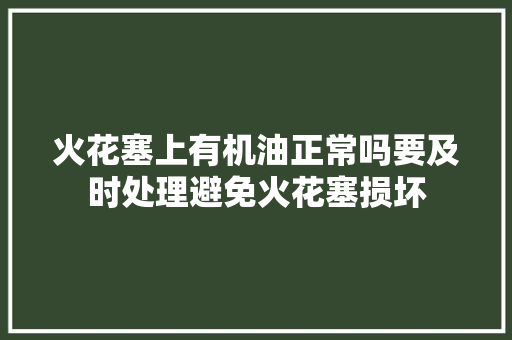 火花塞上有机油正常吗要及时处理避免火花塞损坏