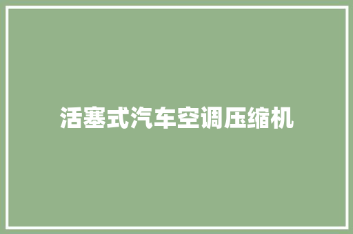 活塞式汽车空调压缩机