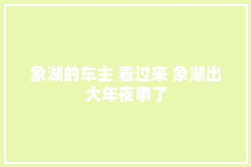 象湖的车主 看过来 象湖出大年夜事了
